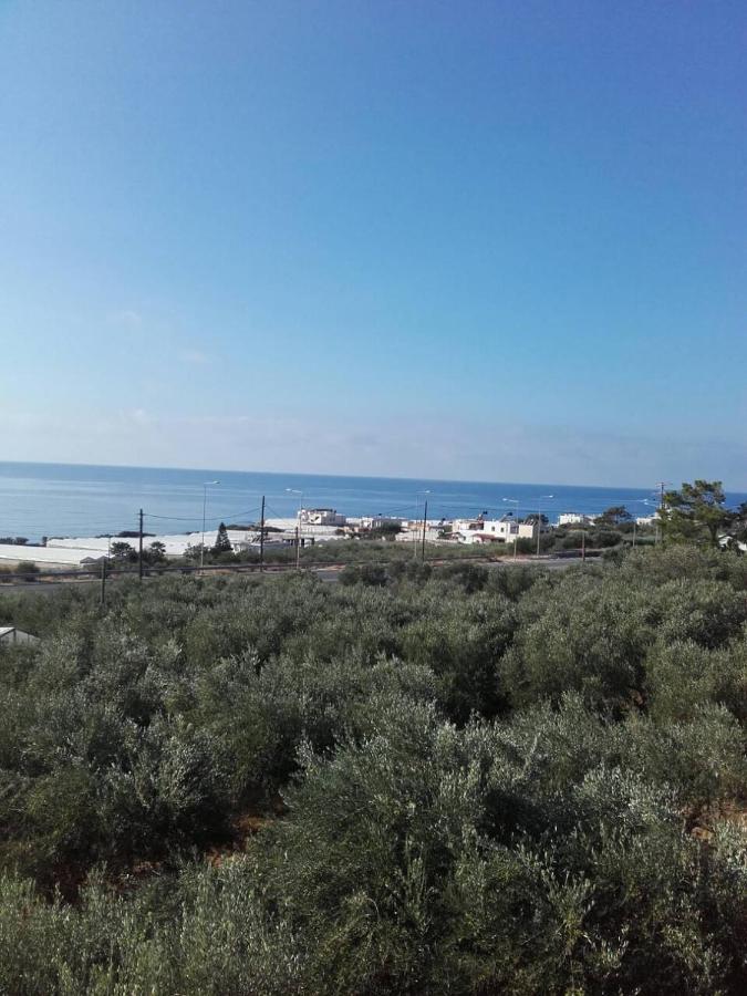 Pericles Traditional Cretan Home Stavrokhorion ภายนอก รูปภาพ